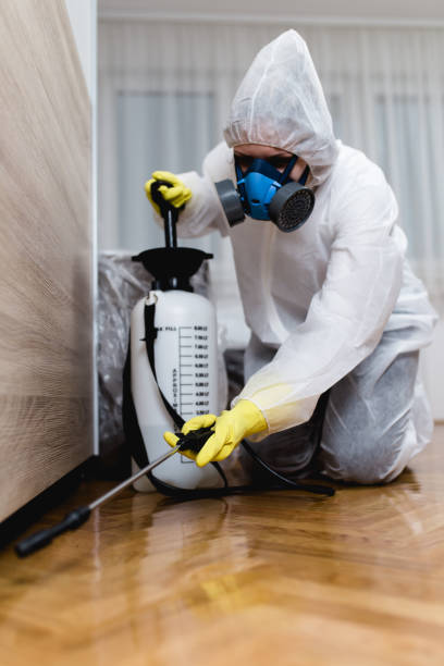 Best Residential Pest Control  in Dupont, WA